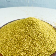 陕北伯伯陕北小米黄小米2500g/袋